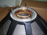 voice coil destruction.jpg