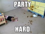 Party Hard.jpg