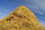 15711661-haystacks.jpg